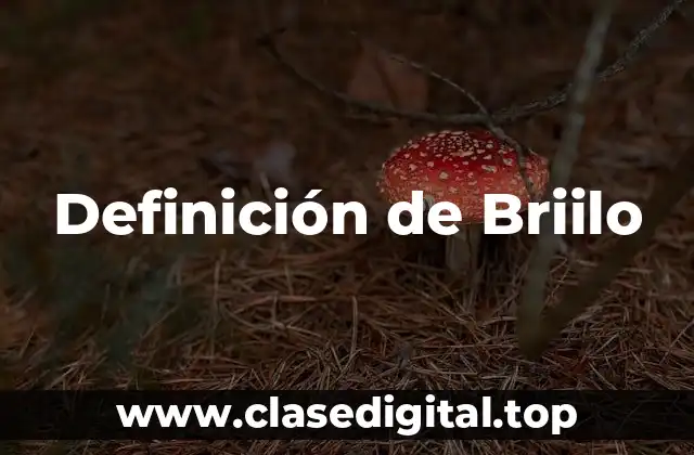 Definición de Briilo