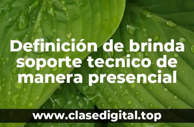 Definición de brinda soporte tecnico de manera presencial