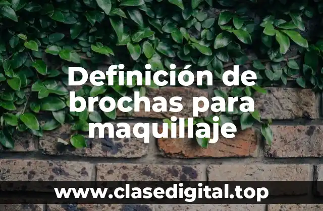 Definición de brochas para maquillaje