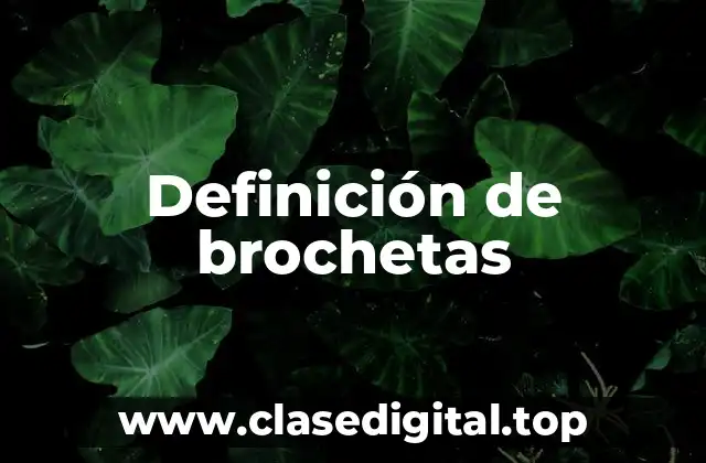 Definición de brochetas