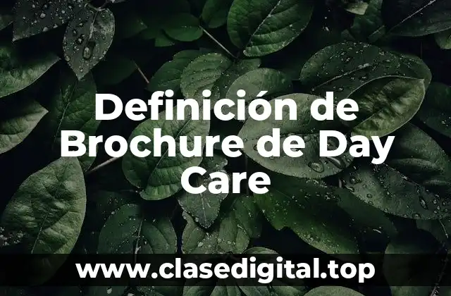 Ejemplos de Brochures de Day Care