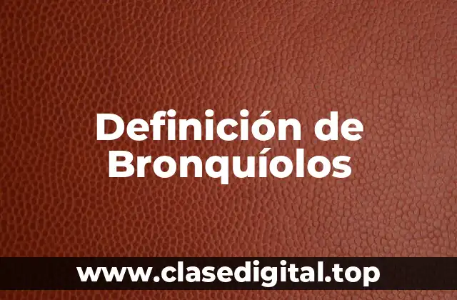 Definición de Bronquíolos
