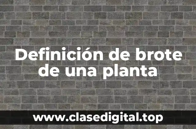 Definición de brote de una planta