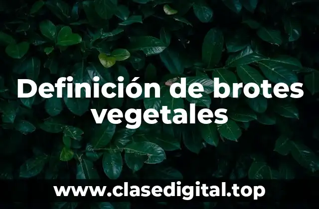 Definición de brotes vegetales