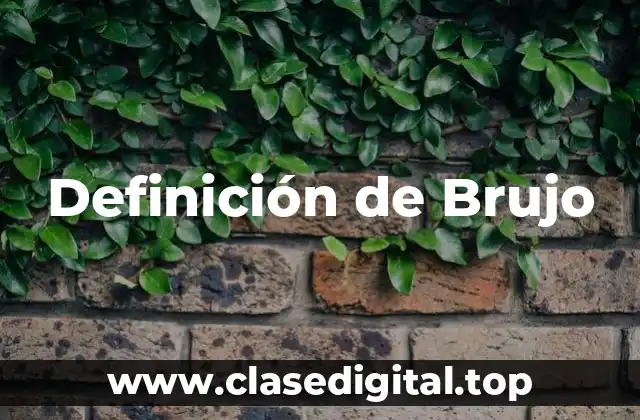 Definición de Brujo