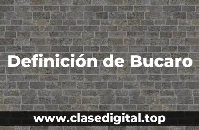 Definición de Bucaro