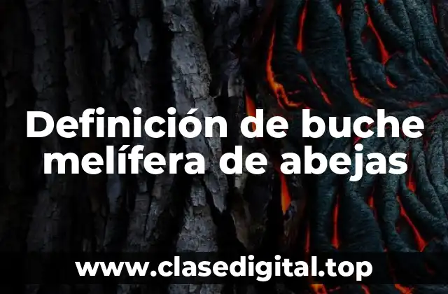 Definición de buche melífera de abejas