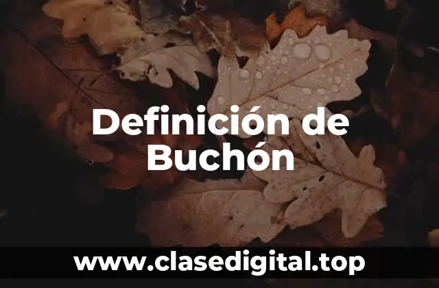 Definición de Buchón