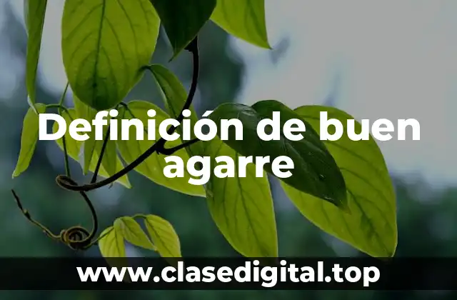 Definición de buen agarre