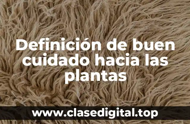 Definición de buen cuidado hacia las plantas