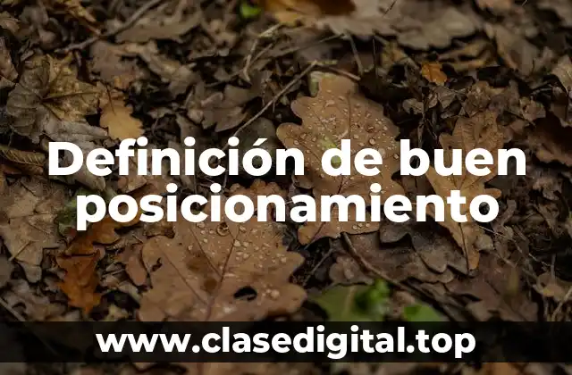 Definición de buen posicionamiento
