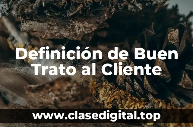 Definición de Buen Trato al Cliente