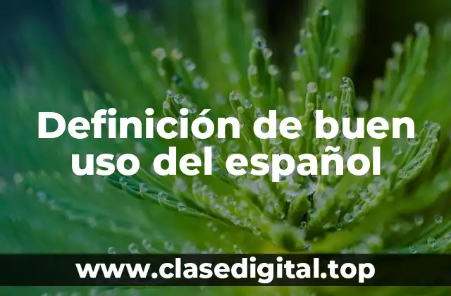 Definición de buen uso del español