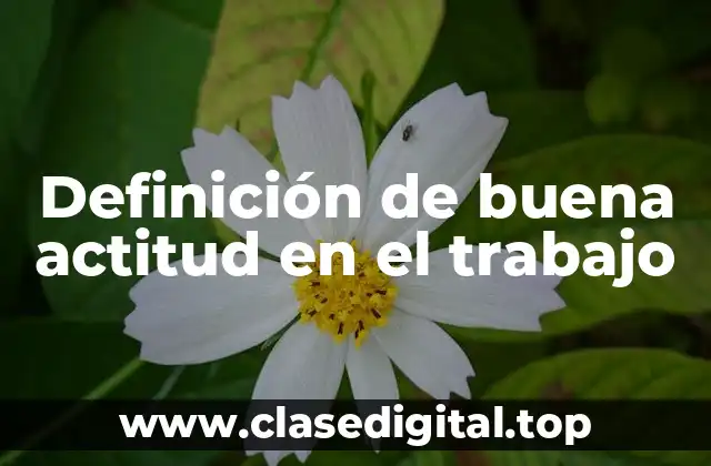 Definición técnica de buena actitud en el trabajo