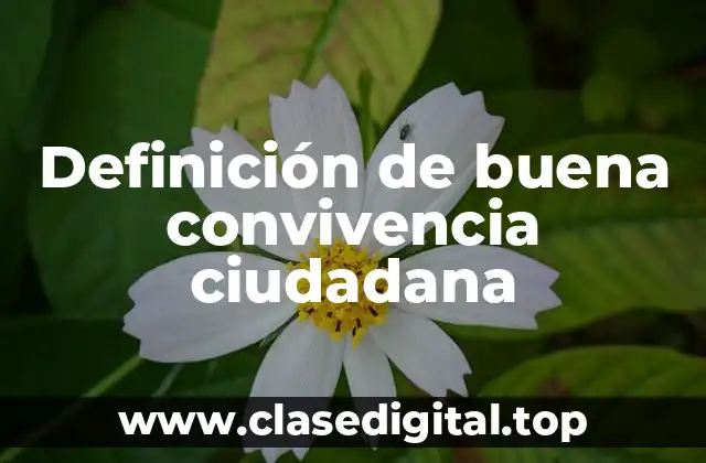 Definición de buena convivencia ciudadana