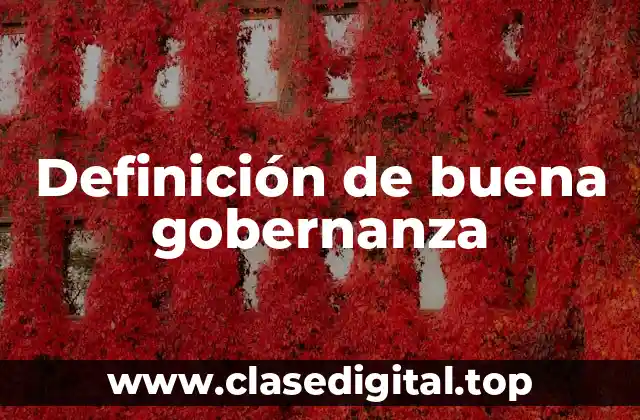 Definición de buena gobernanza
