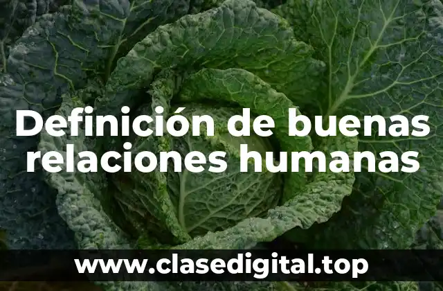 Definición de buenas relaciones humanas