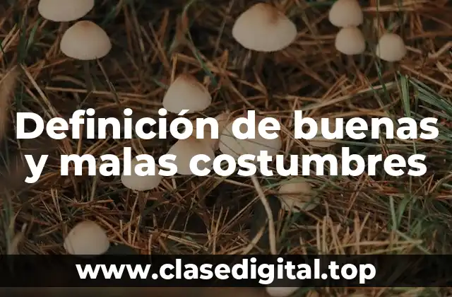 Definición de buenas y malas costumbres