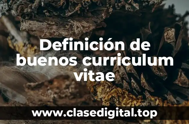 Definición de buenos curriculum vitae