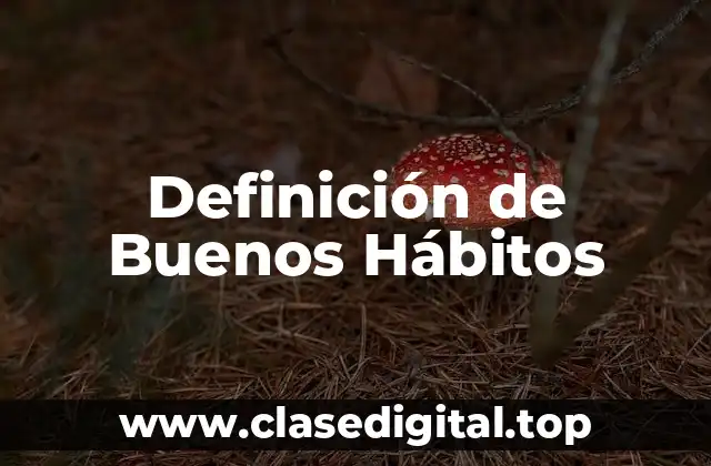 Definición de Buenos Hábitos