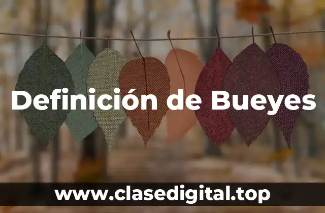 Definición de Bueyes