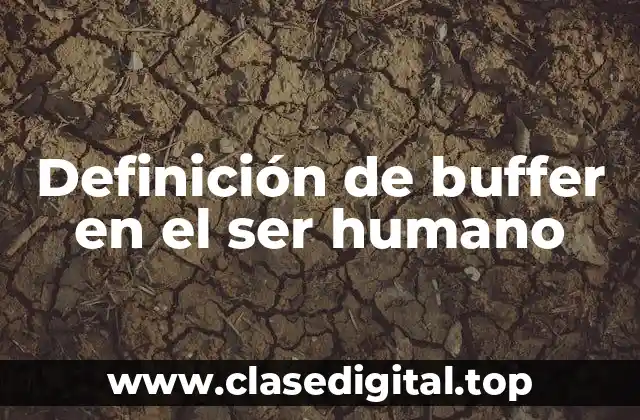 Definición de buffer en el ser humano