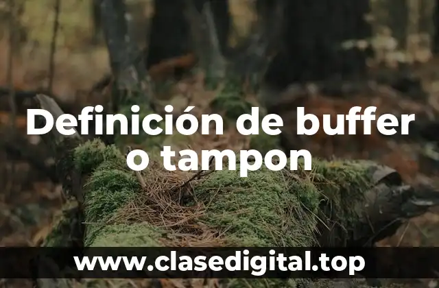 Definición de buffer o tampon