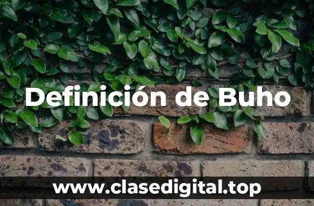 Definición de Buho