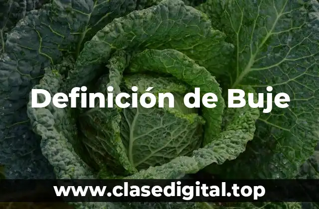 Definición de Buje