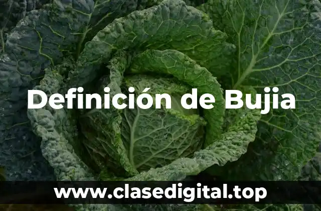 Definición técnica de bujia