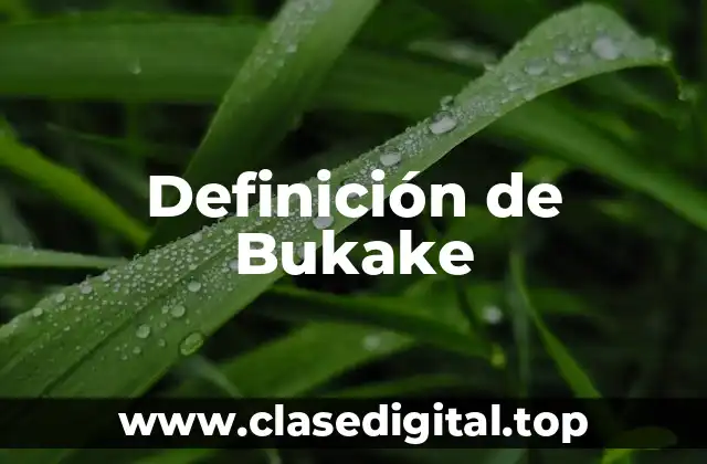 Definición de Bukake