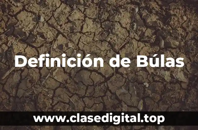 Definición técnica de búla