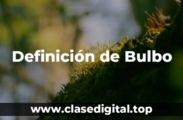 Definición de Bulbo
