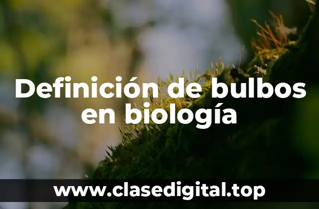 Definición de bulbos en biología