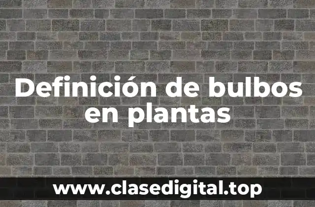 Definición de bulbos en plantas