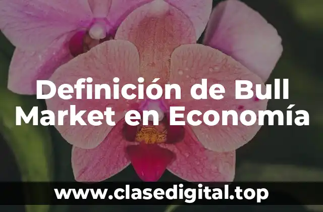 Definición de Bull Market en Economía