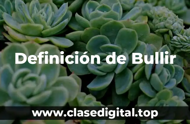Definición de Bullir