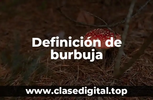 Definición de burbuja