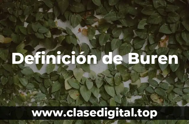 Definición de Buren