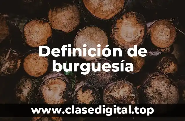 Definición técnica de burguesía