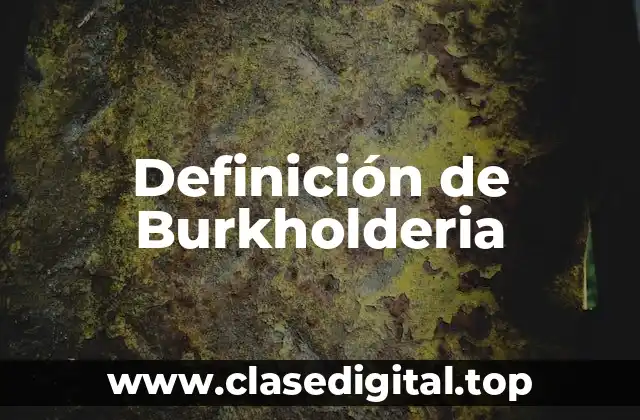 Definición de Burkholderia