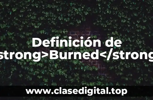 Definición de <strong>Burned</strong>