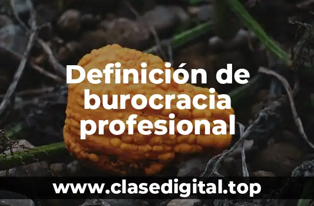Definición de burocracia profesional