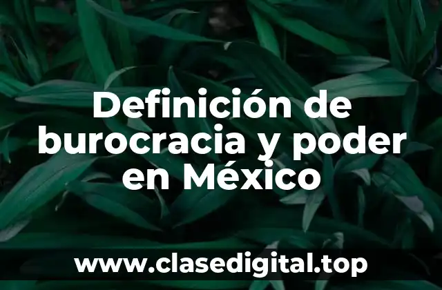 Definición de burocracia y poder en México