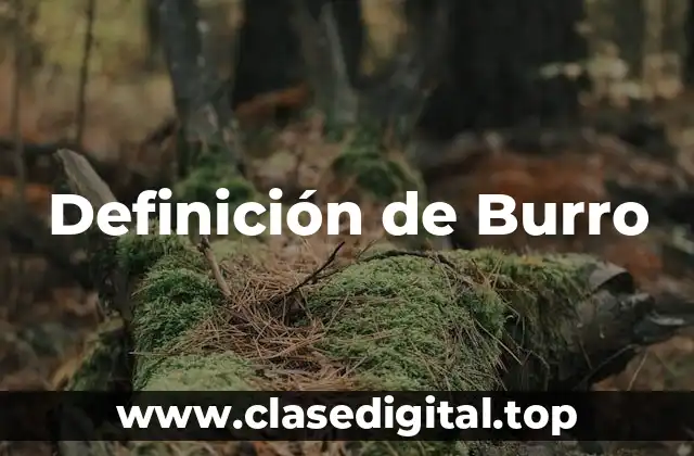 Definición de Burro