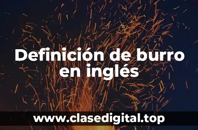 Definición de burro en inglés