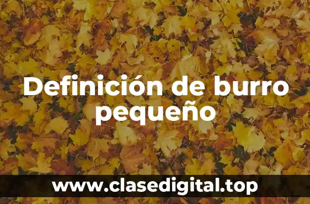 Definición de burro pequeño