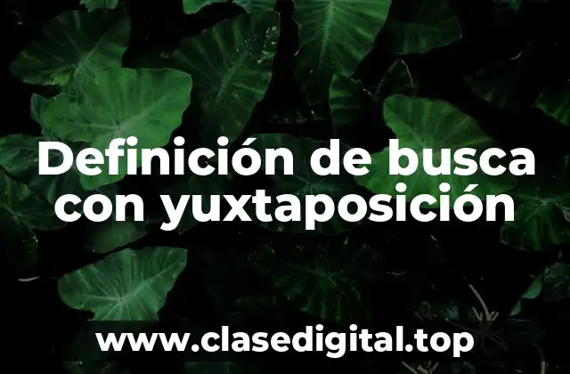 Definición de busca con yuxtaposición