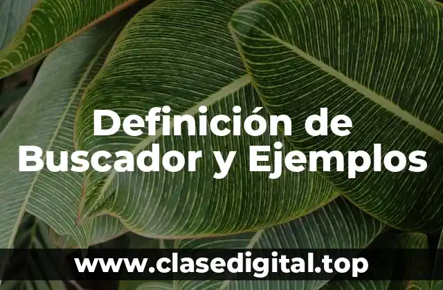 Definición de Buscador y Ejemplos