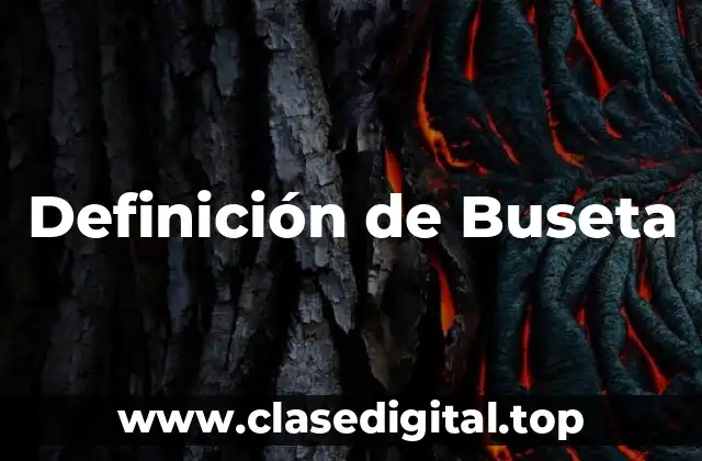 Definición de Buseta